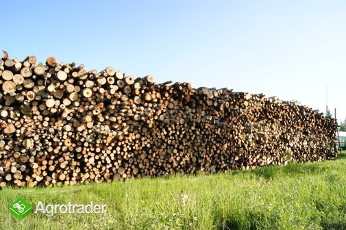 Drewno opałowe, kominkowe z Ukrainy, Duże ilości.