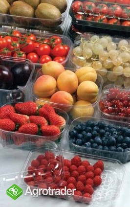 Opakowania , pojemniki PP i PET na owoce i warzywa