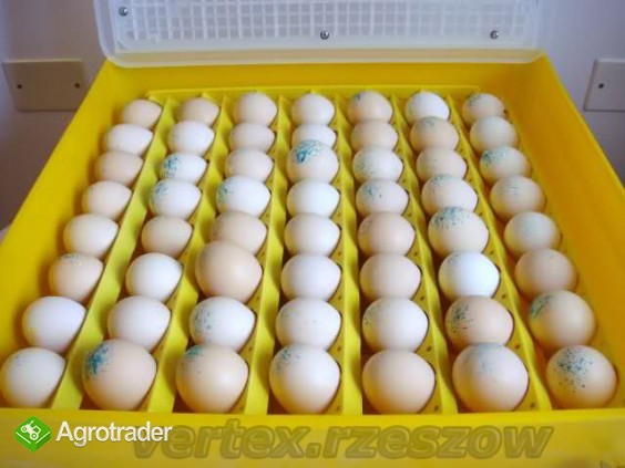 Inkubator do jaj automatyczny klujnik wylęgarka, wysyłka: CAŁA POLSKA