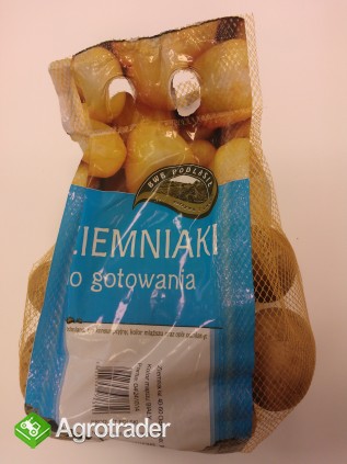 Ziemniak z certyfikatem GLOBAL GAP - zdjęcie 1