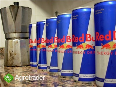 2018 Red Bull Energy Drinks Najlepsza jakość - zdjęcie 1