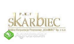 PKF Skarbiec opinie forum