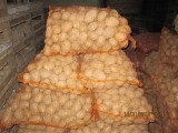 Sprzedam ziemniaki z FITO na Białorusi w Brześciu