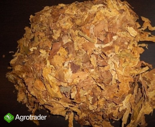 FERMENTACJA , PROFESJONALNE PRZYGOTOWANIE