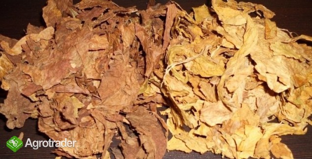 FERMENTACJA , PROFESJONALNE PRZYGOTOWANIE - zdjęcie 4