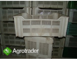 Skrzynki plastikowe białe