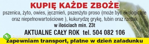 Kupię kukurydzę min 23t.