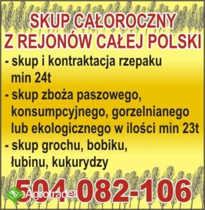 Kupię kukurydzę i inne