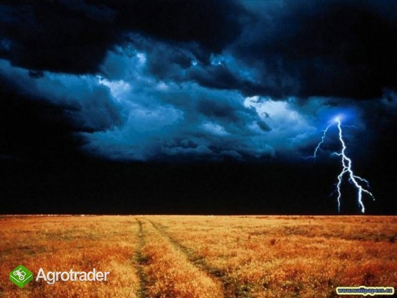 kupię jęczmień !!