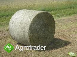 Sprzedam siano ekologiczne 2012