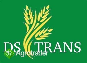 100 ton pszenżyta kupię