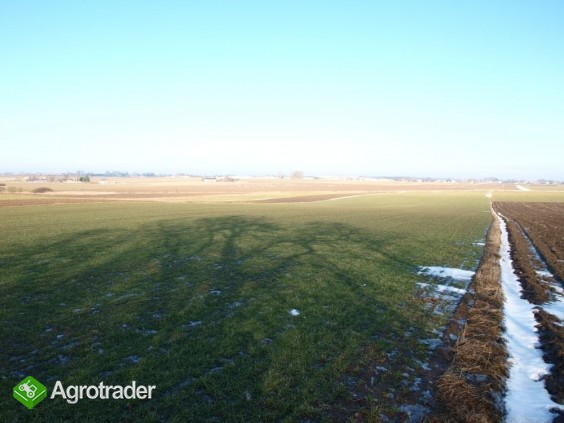 Do sprzedaży grunt rolny 4,17ha gm. Wola Krzysztop