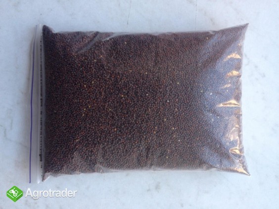 Kolendra, gorczyca, soja, len do sprzedania! - zdjęcie 1