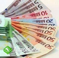 Posojilo denarja med zlasti prejeta