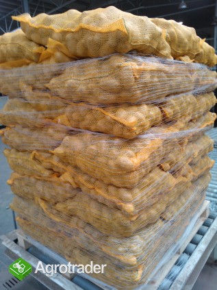 Ziemniak z certyfikatem GLOBAL G.A.P. opakowania 2-25 kg - zdjęcie 1