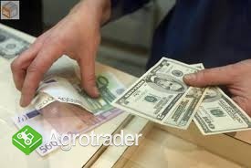 Schnelle Cash-Darlehen bieten spezielle