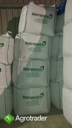 Kwalifikowane nasiona siewne pszenicy jarej Mandaryna C/1 - zdjęcie 3