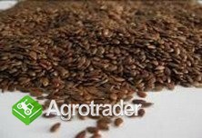 Cereals from Ukraine