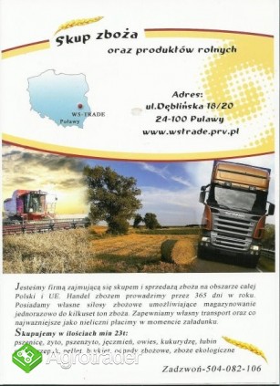 kupię rzepak - zdjęcie 2