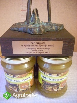 Miód spadziowy , i inne miody sprzedaż - zdjęcie 3