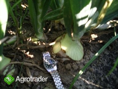 Dymka - Hurt i Detal