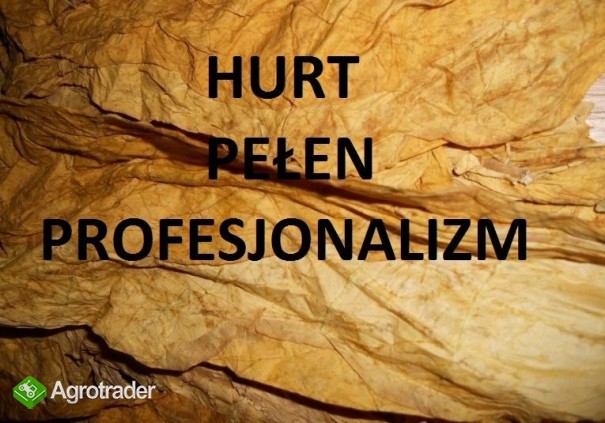 ----------------HURT---------------