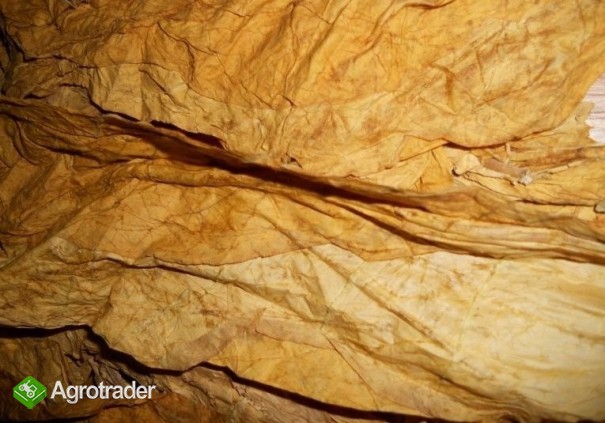 FERMENTACJA , PROFESJONALNE PRZYGOTOWANIE